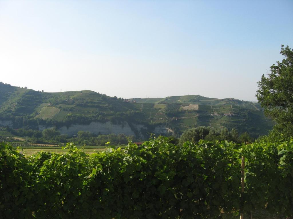 Agriturismo Cascina Serra Cossano Belbo Chambre photo