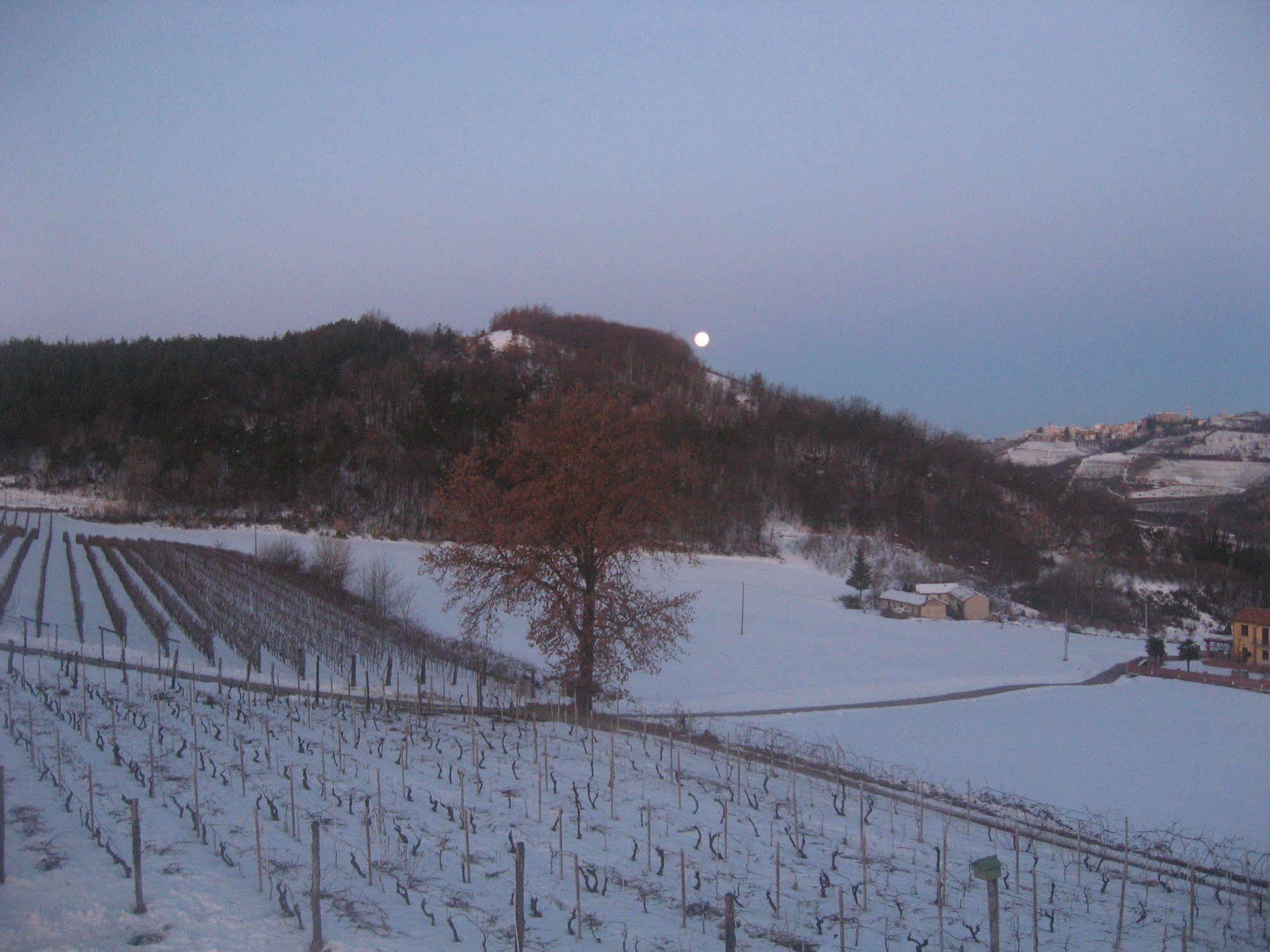 Agriturismo Cascina Serra Cossano Belbo Extérieur photo